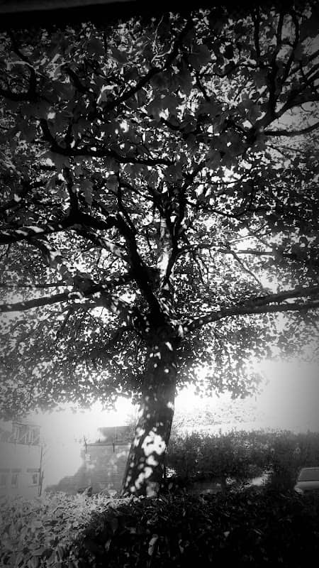 Rock Park - Image 1