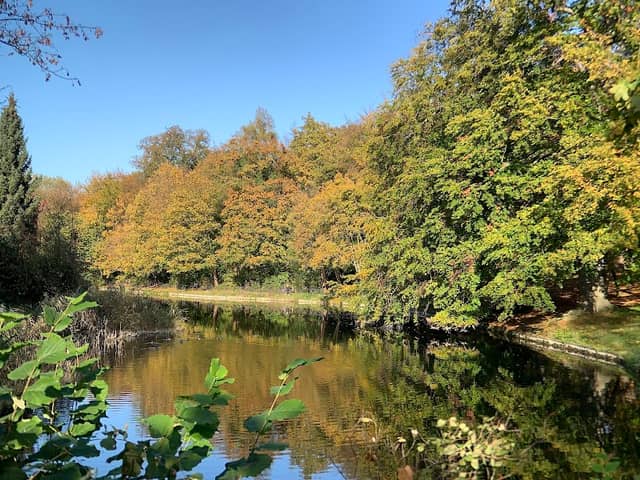 Stadtpark Blumenwall - Image 1