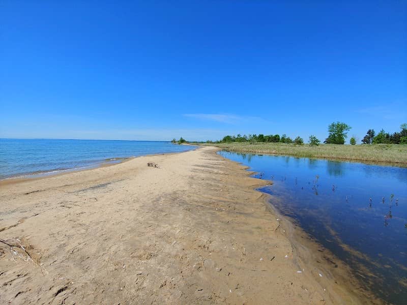Tawas Point-Sandy Hook Nature Trail - Image 2