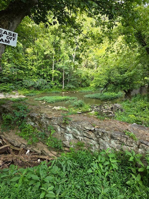 Thomas Amis Historic Park - Image 1
