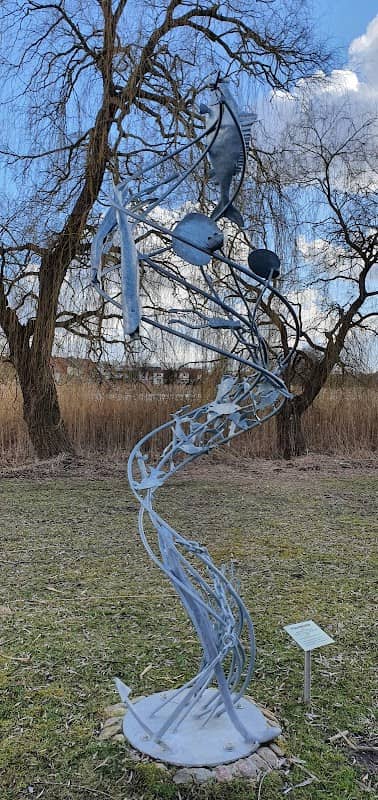 Der Crivitzer Fischregen - Image 1