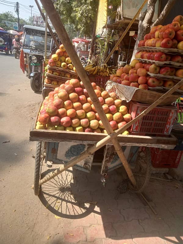 Gola - Image 1