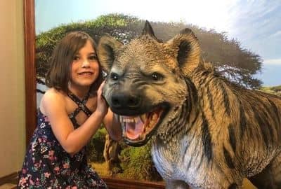 Museum of Prehistoric Life - Image 1