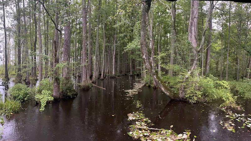 Flippo-Gentry Wildlife Management Area - Image 2