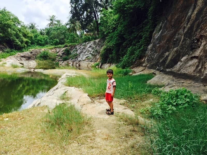 Pond of kannamkuttiyil - Image 1