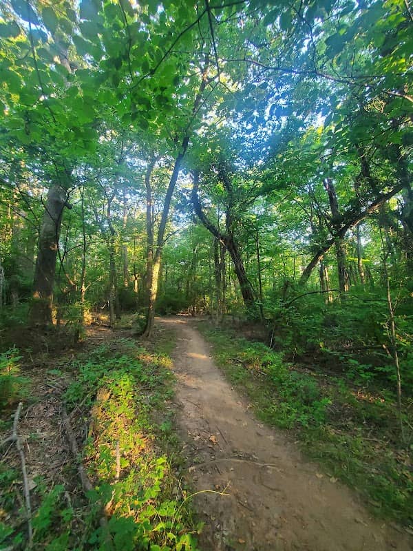 Gregory Park Trail - Image 1