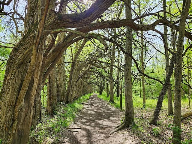 Sugarcreek MetroPark - Image 1