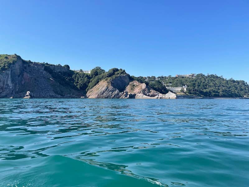 WeFerry - Torbay & Teignmouth - Image 2
