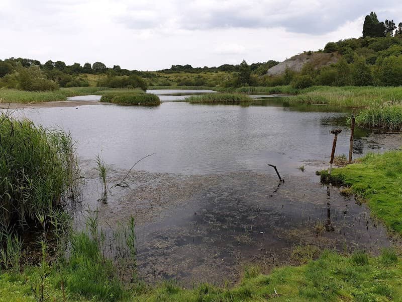 Kings Dyke Nature Reserve (Access via Free Permit) - Image 3