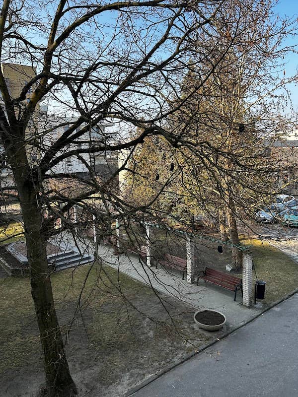 Drzewo Myszkowe - Image 1