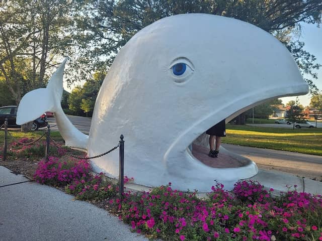 Willie The Whale - Image 1