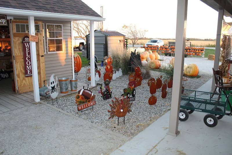 Jason's Pumpkin Patch - Image 1