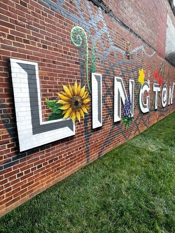 Burlington Mural - Image 2
