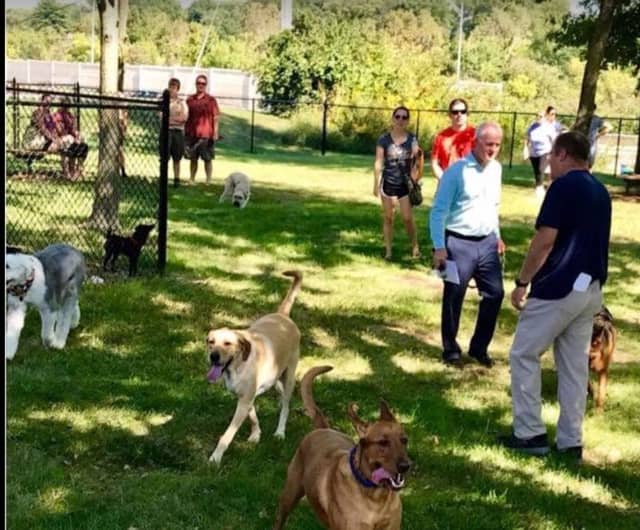 St. Johns Community Dog Park - Image 1