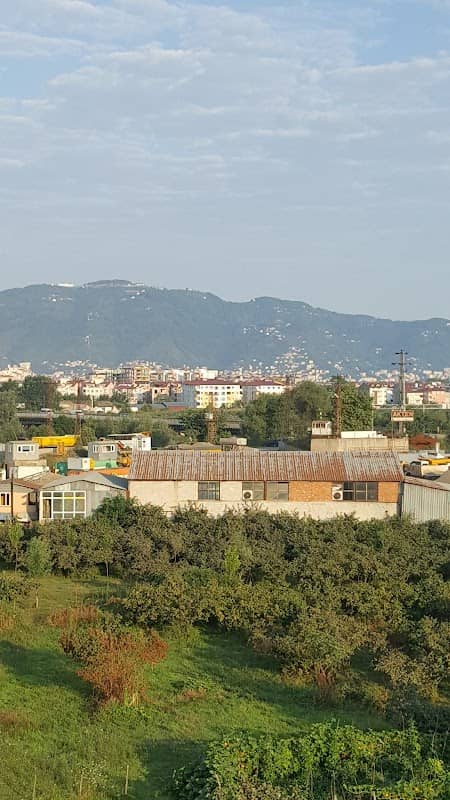 Yeşil Alan - Image 1
