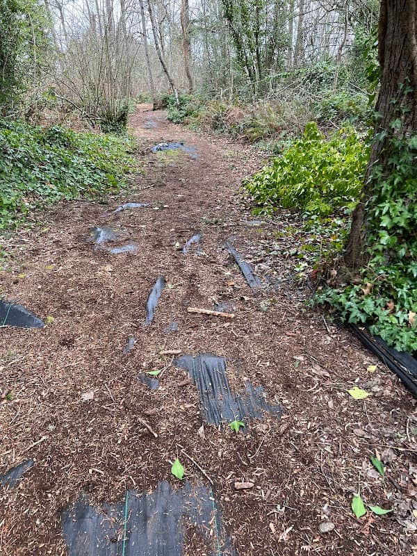Barnes Creek Nature Trail - Image 2