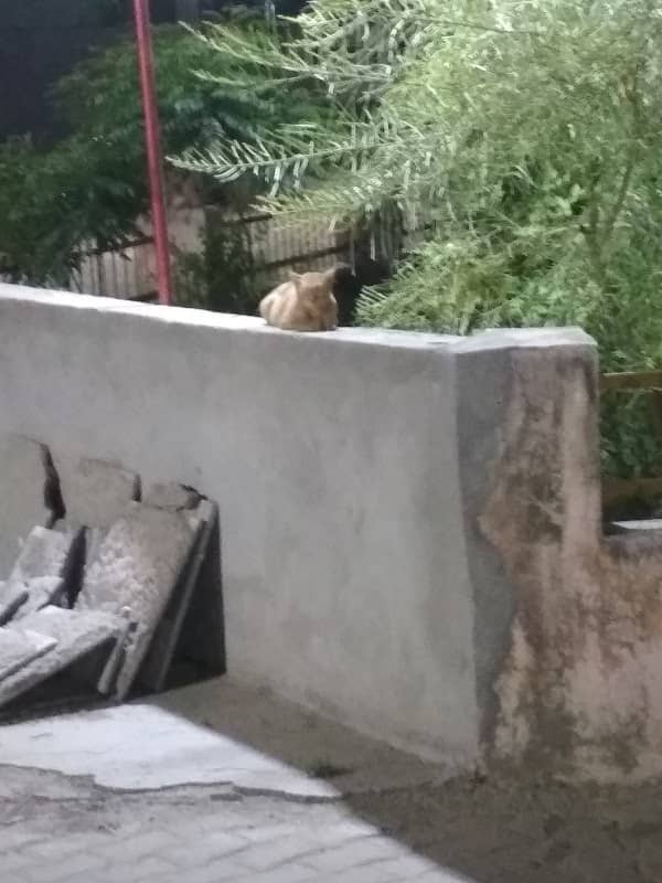 Universal Radha Garden Park - Image 2