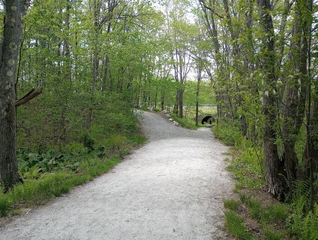 Head's Pond Trail - Image 1