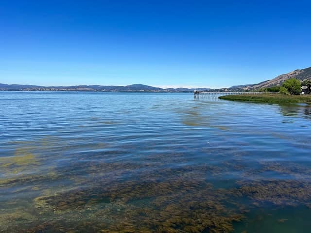 Lucerne Harbor Park | Lake County Parks - Image 1