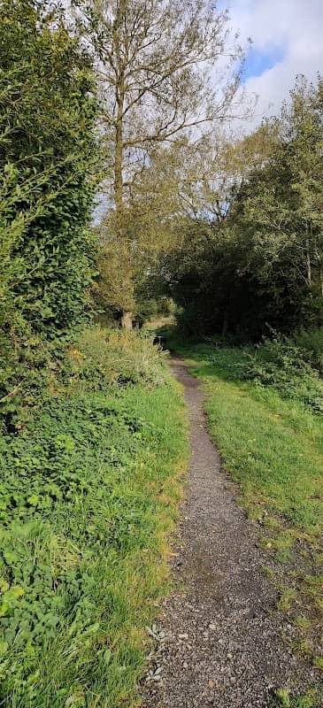 Wood Pit Nature Reserve - Image 2