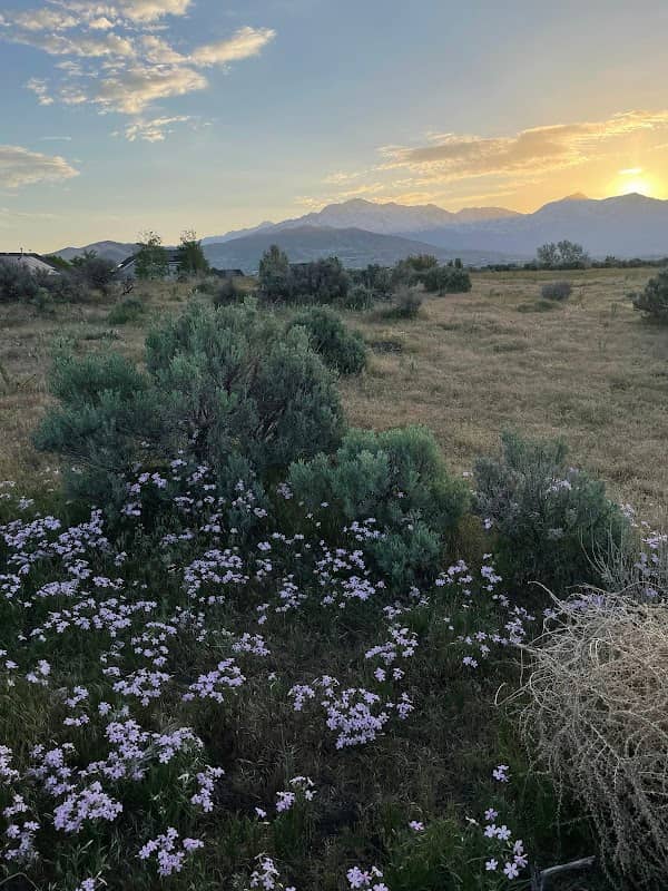 Harvest Hills Nature Park - Image 1