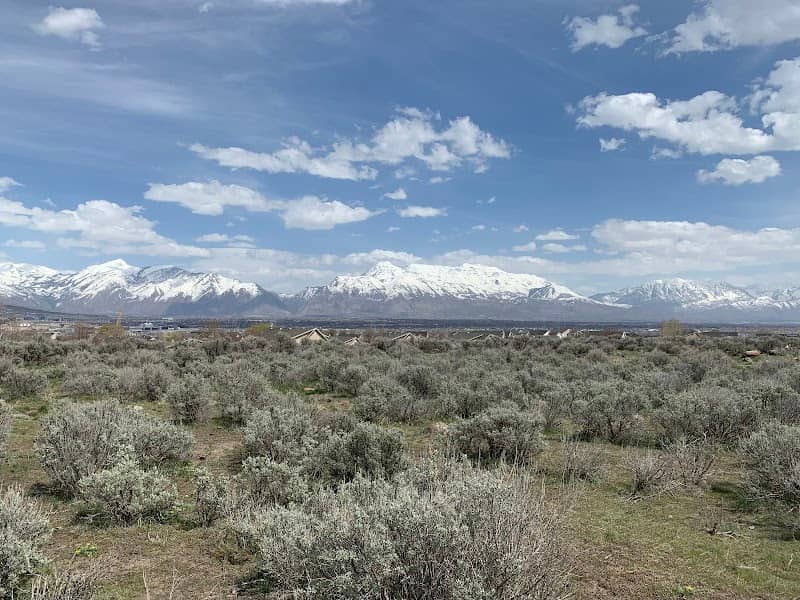 Harvest Hills Nature Park - Image 2