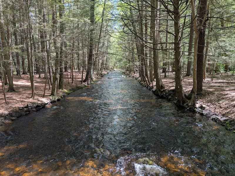 Amethyst Brook Conservation Area - Image 1
