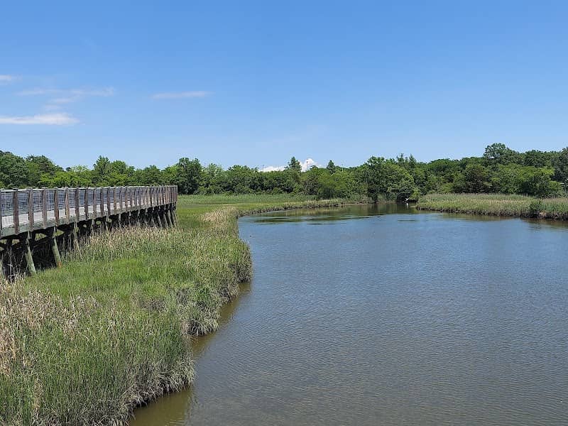 Waterwalk at Central Park - Image 1