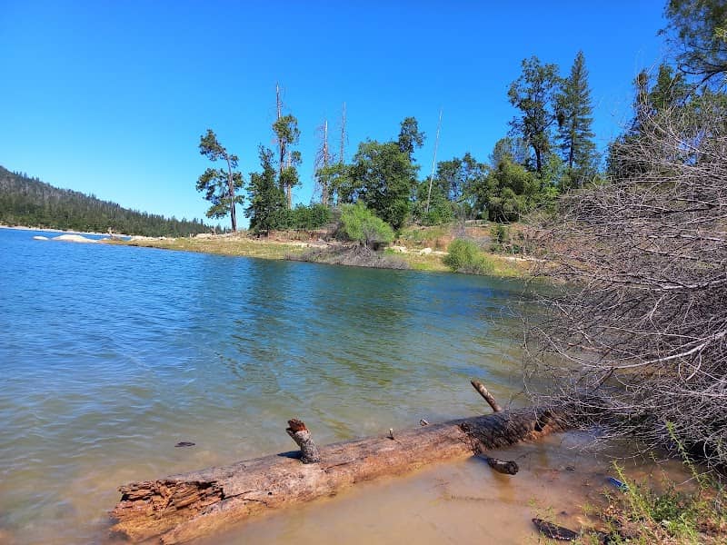 Bass Lake - Image 2