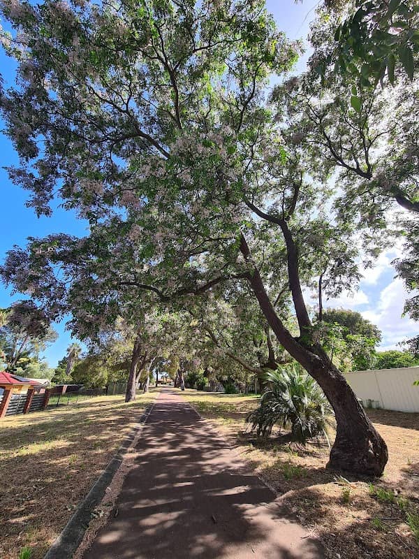 Swan View P.O.S - Image 1