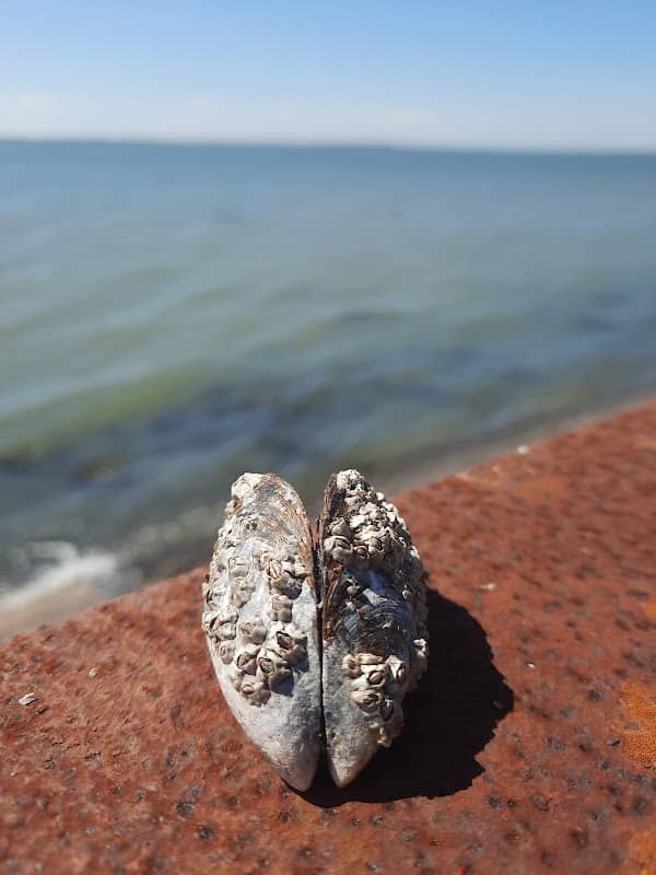 Mill Point - Image 2