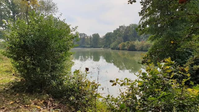 Naturschutzgebiet - Image 1