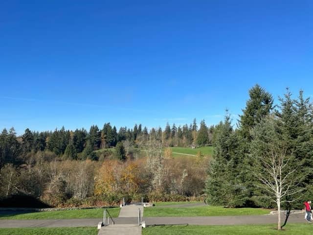 Sammamish Commons - Image 2