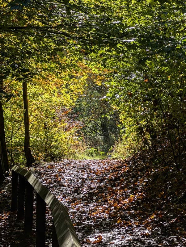 Woodnook Vale Nature Reserve - Image 2