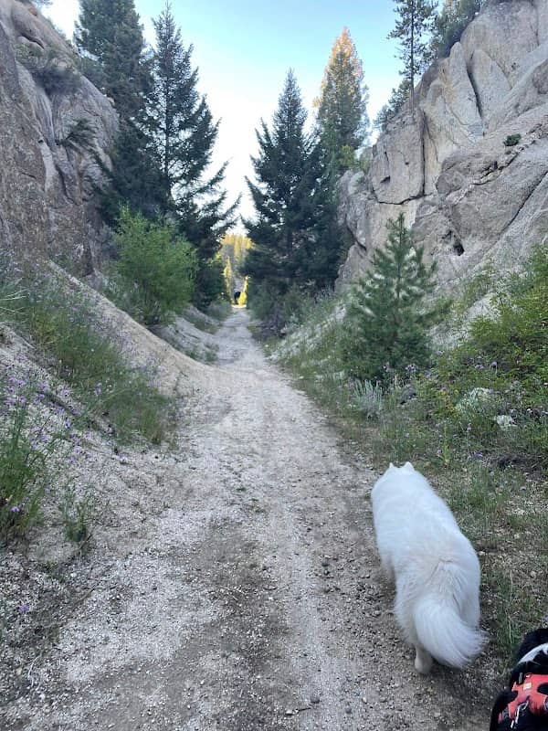 Lions Den Trailhead - Image 1