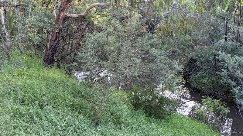 Wingrove Park - Image 1