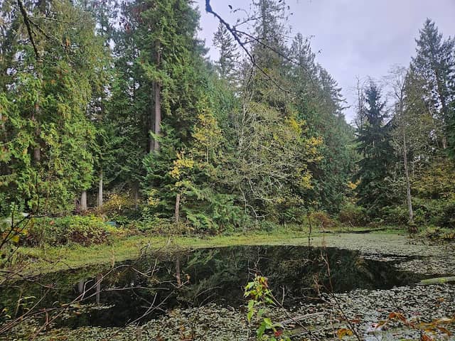 Deering Wild Flower Acres - Image 3