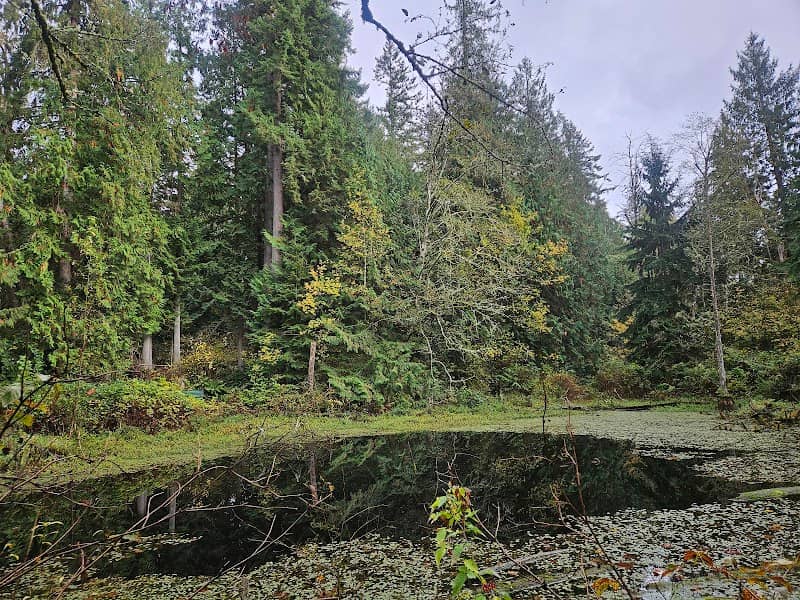 Deering Wild Flower Acres - Image 3