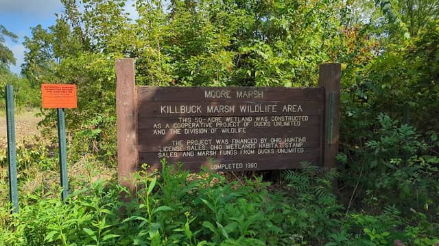 Moore Marsh - Image 1