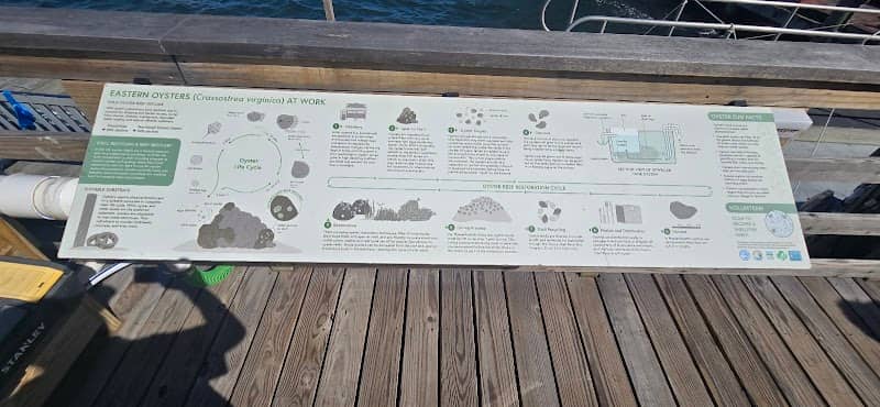 Nantucket dock - Image 2