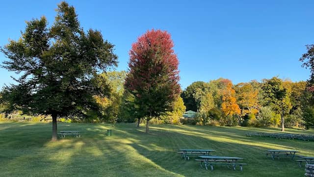 Ideal Park - Image 2