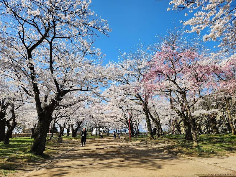 Morioka-jo Castle Site Park (Iwate Park) - Image 1
