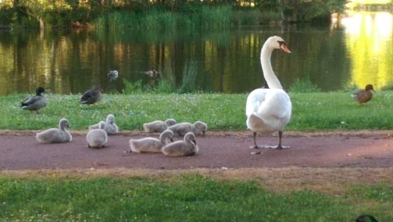 Biggar Public Park - Image 2
