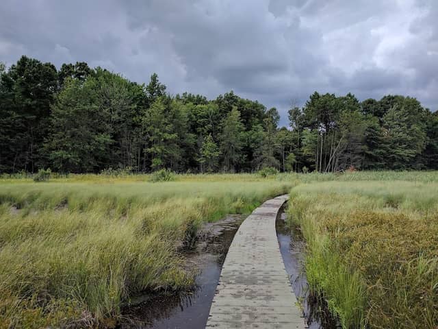 Bishop's Bog Preserve - Image 1