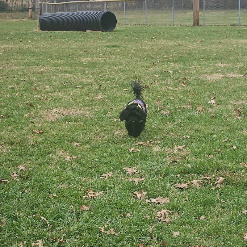 Howard Field Park - Image 2