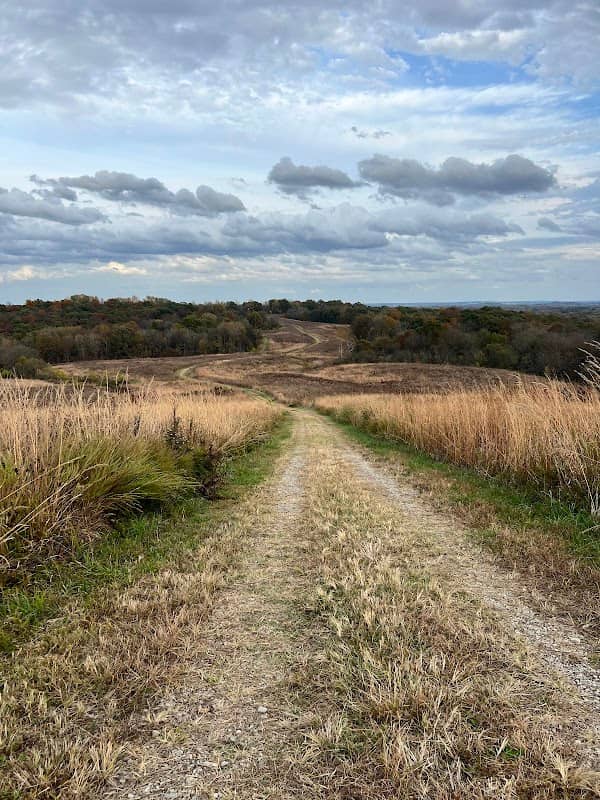 Big rivers - Image 1