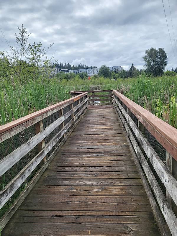 Totem Lake Viewing Point - Image 3