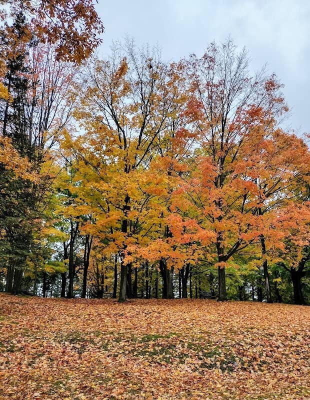 Scofield park - Image 1