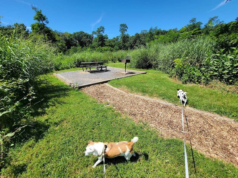 Group Picnic Shelter - Image 2