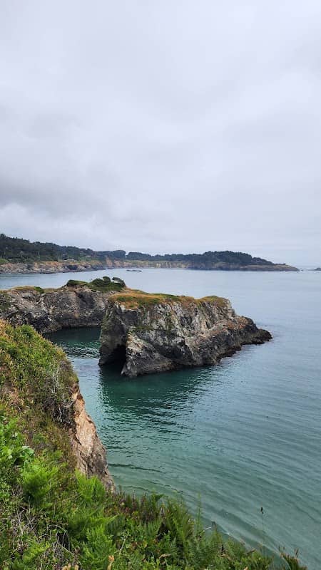 Mendocino Area Parks Association - Image 1